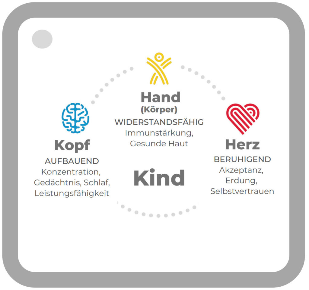 doTERRA Kids Collection Kit Übersicht